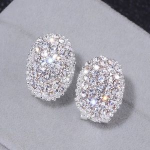 ♾ Beautiful Zirconia Stud Earrings